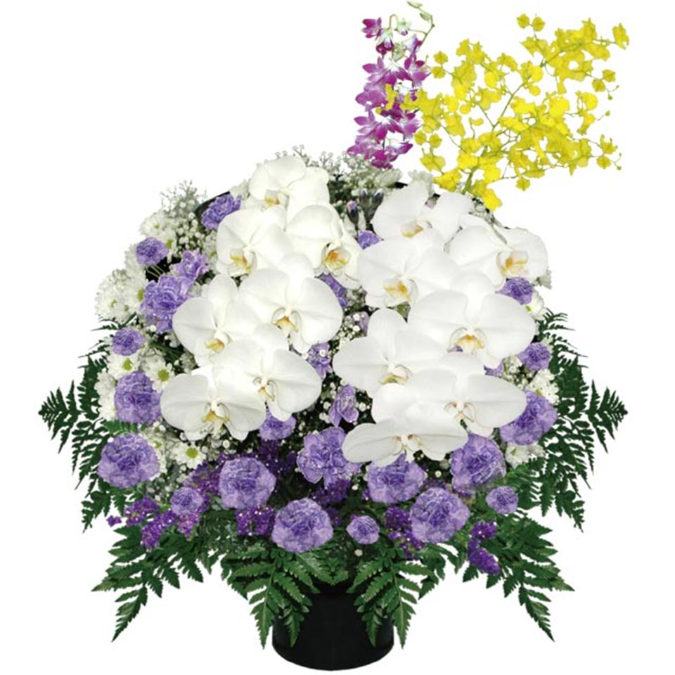 白い胡蝶蘭と紫のカーネーションが特徴の供花