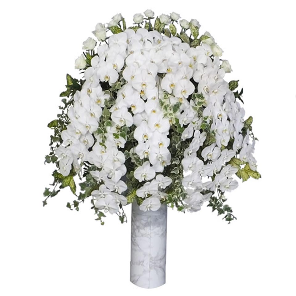 胡蝶蘭を用いた供花